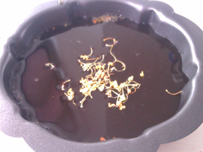 ���ǹ𻨶�������