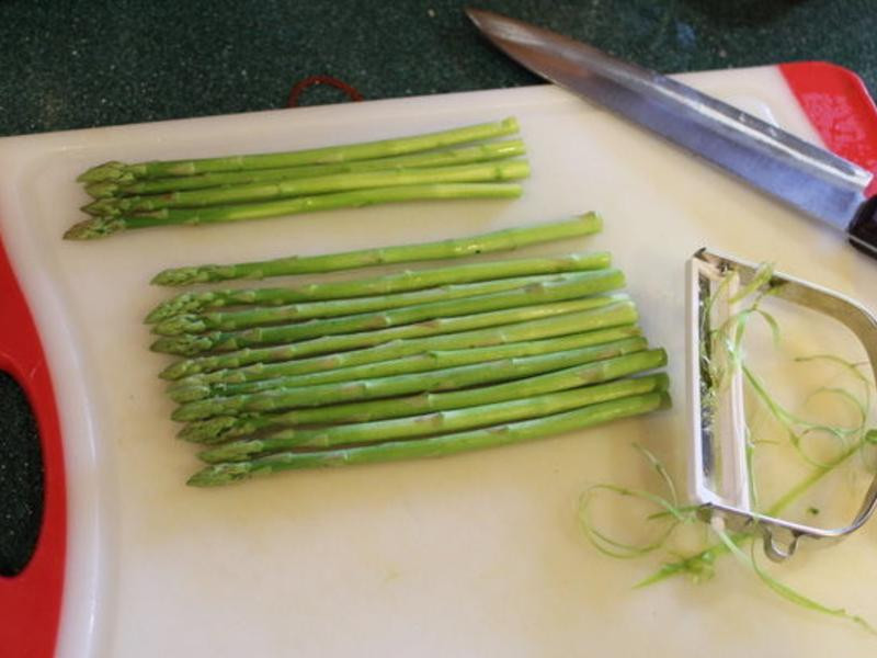 �����ȿ�«�������