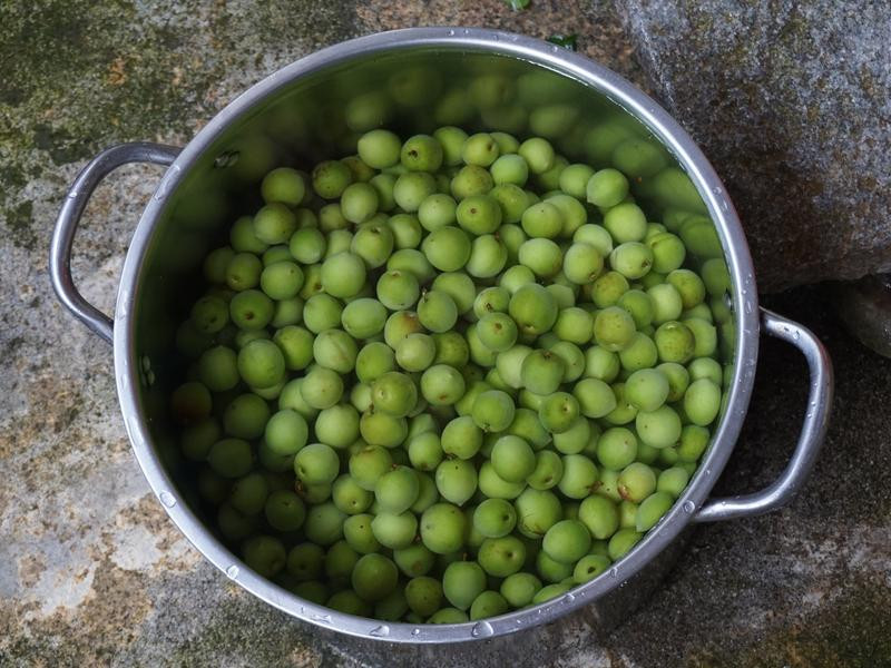 ����ζ�Z��÷������