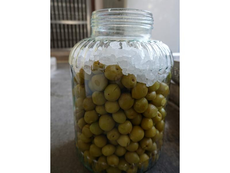 ����ζ�Z��÷������