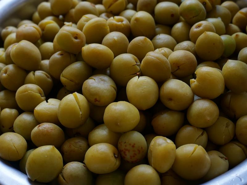 ����ζ�Z��÷������