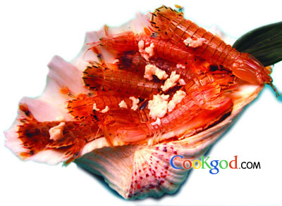 �����������Ϻ������