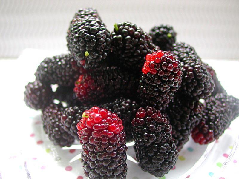 ��������~ɣ��ɵ�����