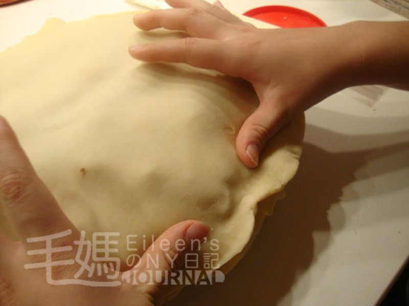 ƻ���� Apple Pei������