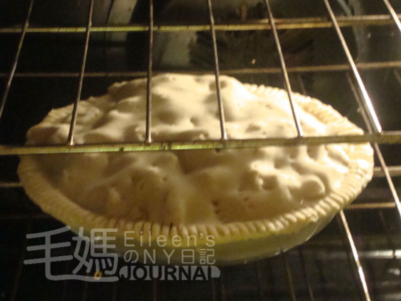 ƻ���� Apple Pei������