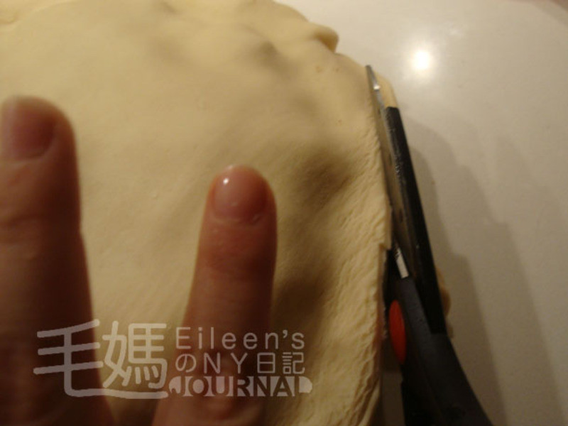 ƻ���� Apple Pei������