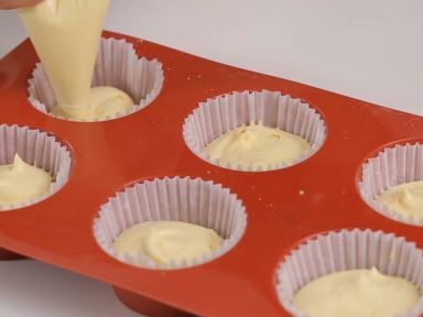 ����ֽ�����������