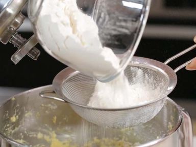 ����ֽ�����������