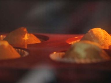 ����ֽ�����������