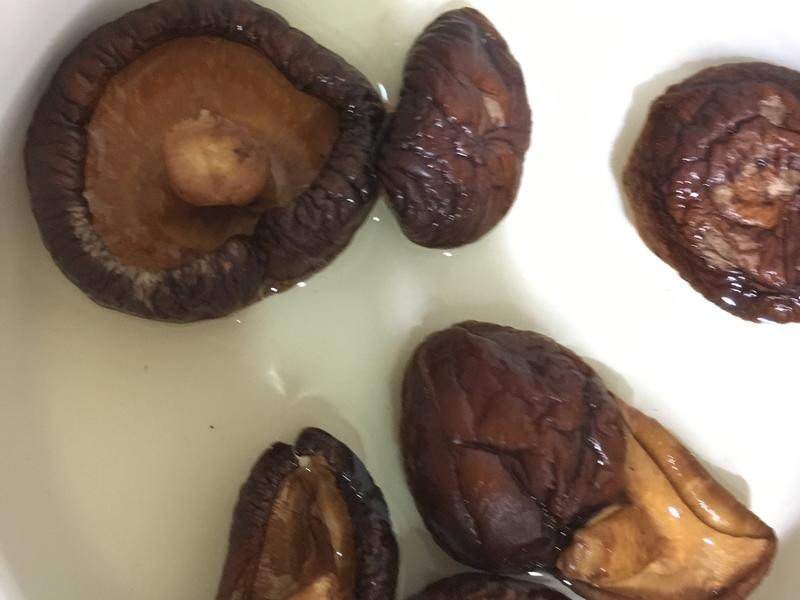 �㹽�����˷�������