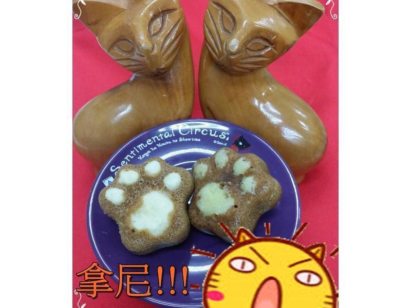 ���������?�����������������