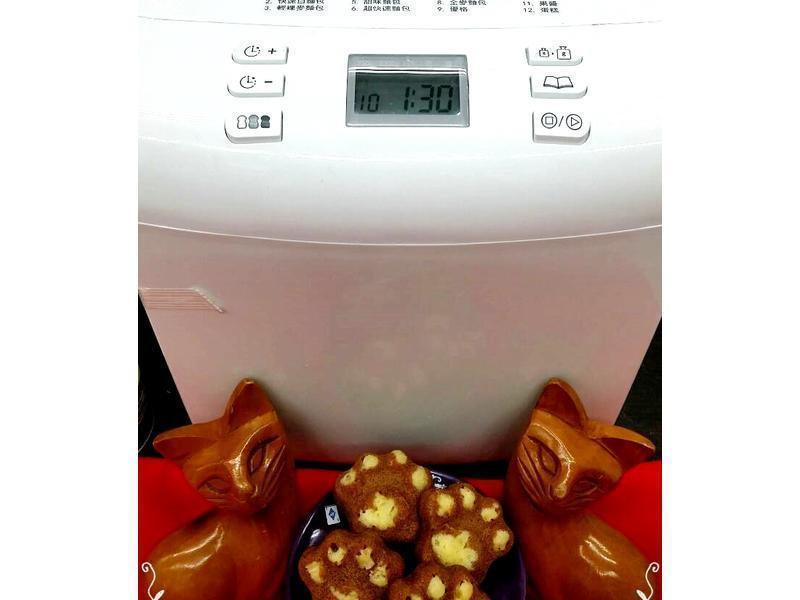 ���������?�����������������