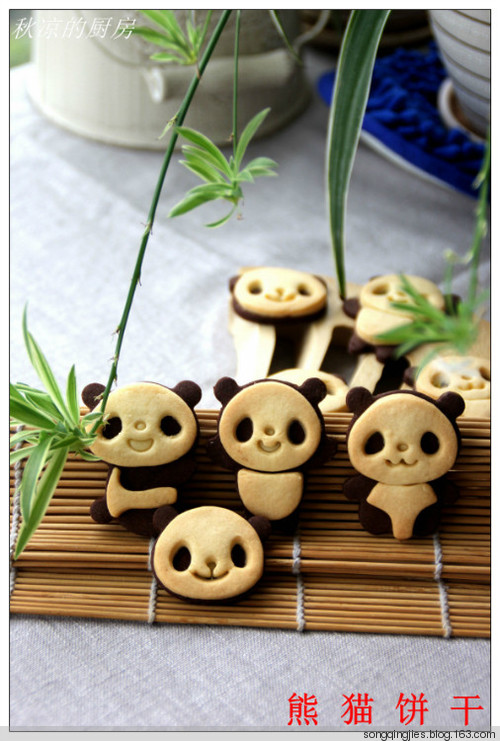 ��������һ�����Ϊ֮רע�Ŀ��֡�����è���ɵ�����