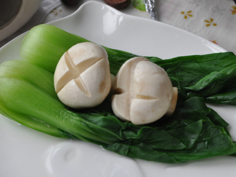 �����͡�Ԫ����͵�����