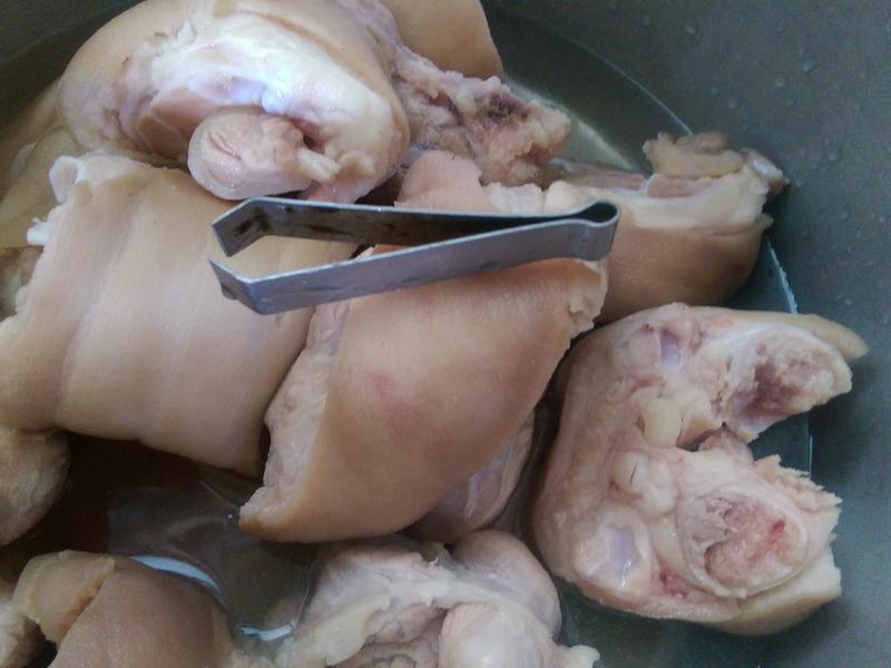 ���ˤ���±���ŵ�����