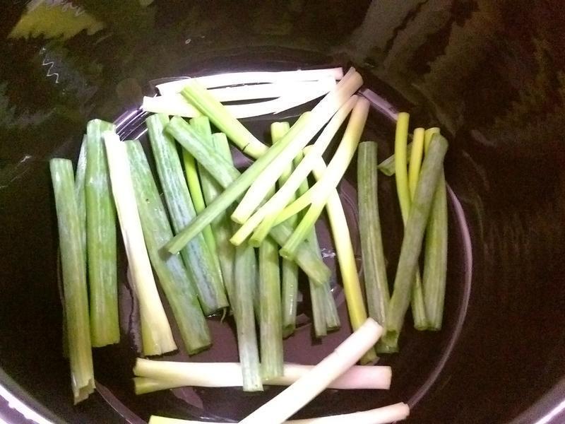 ���ˤ���±���ŵ�����