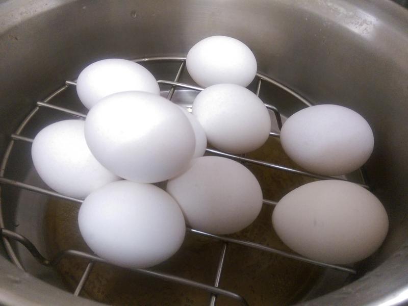 ���ˤ���±���ŵ�����