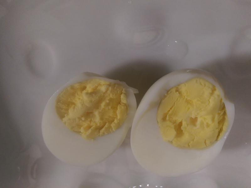 ���ˤ���±���ŵ�����