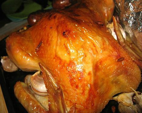 Ӣʽ�����⿾��������