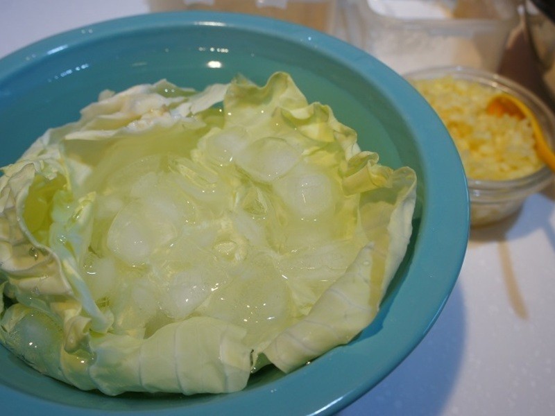 �����ɳ���ͽ�������ʽը����ζ��ɳ����������