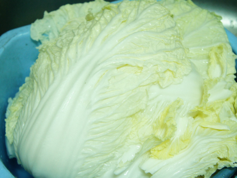 ���-����ʨ��ͷ������