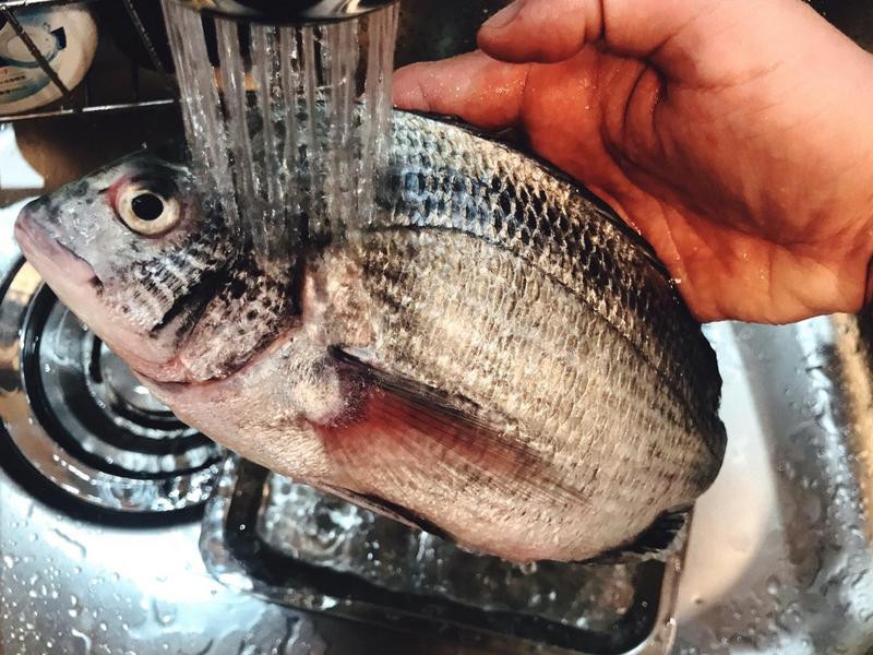 ��֭�����ο��������