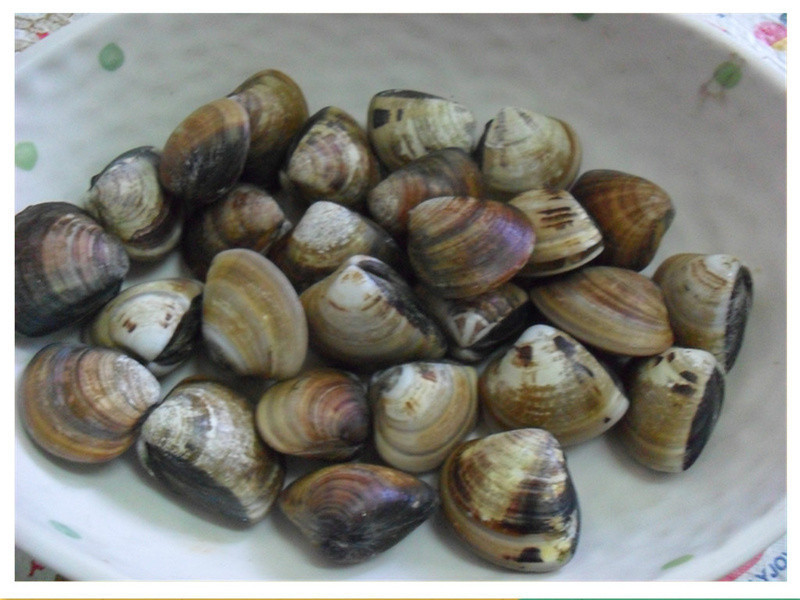 Y�ҵ�С����--���Ѽ������