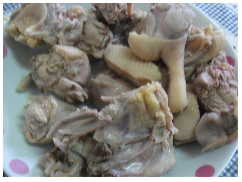 Y�ҵ�С����--���Ѽ������