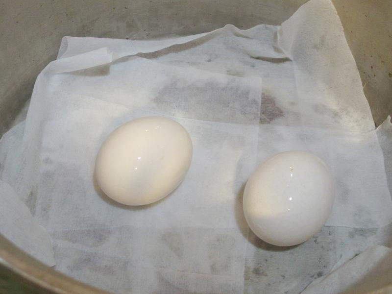 ˮ��ɳ����������