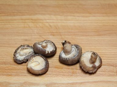 ���ն��� [ũ������ʳ��]������