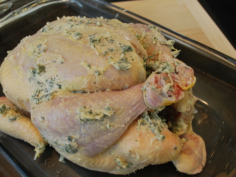 ������ݿ���������