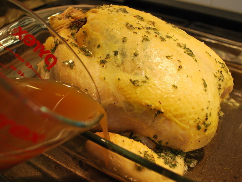 ������ݿ���������