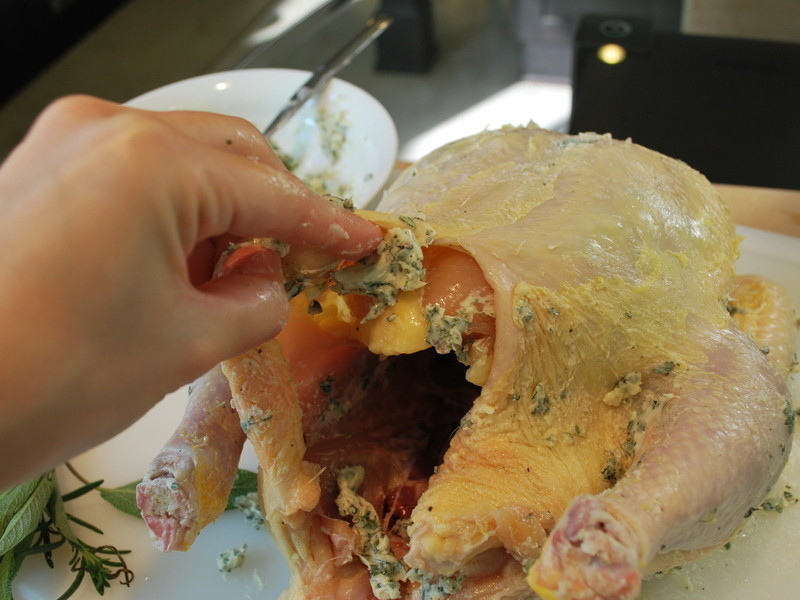 ������ݿ���������