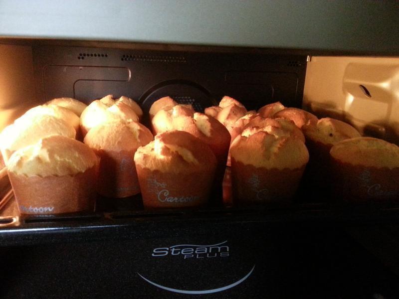 ������ݷ�(ѩ������)������