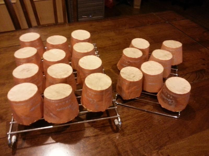 ������ݷ�(ѩ������)������