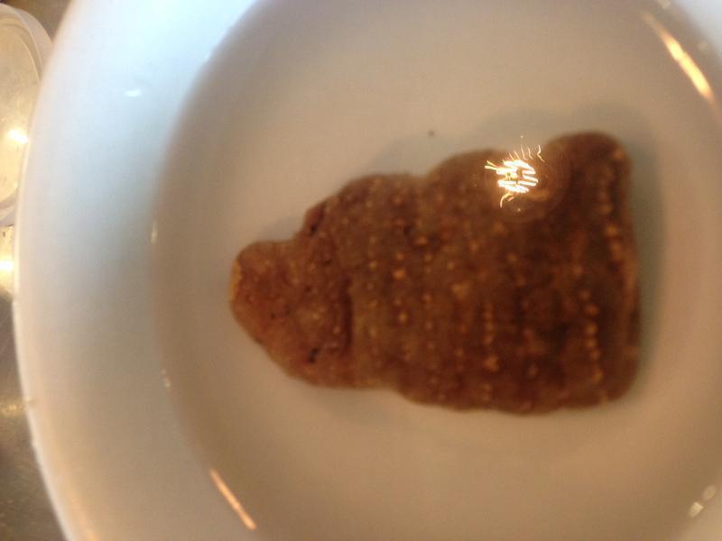 ����������Ź���������