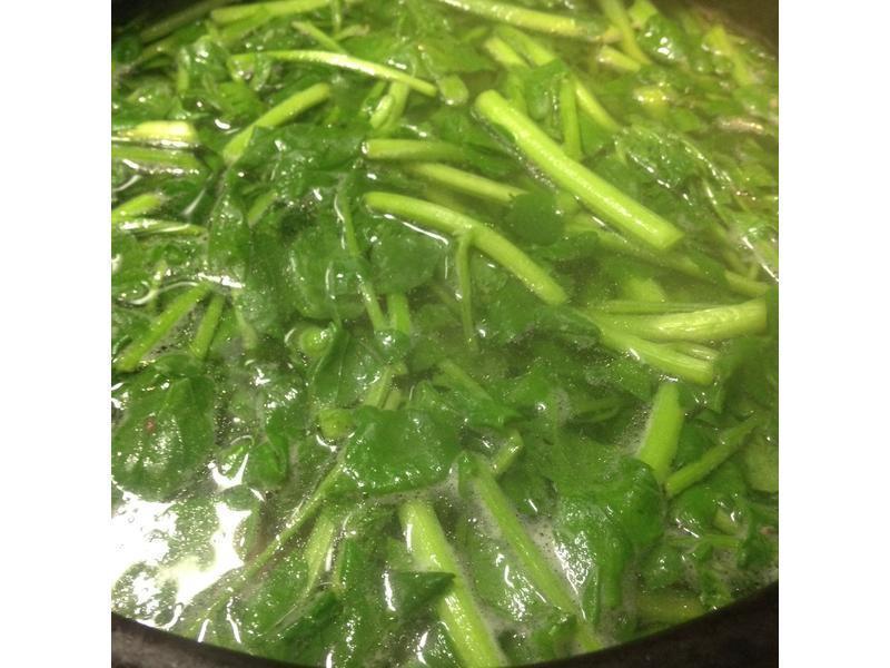 ����������Ź���������