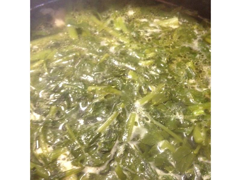 ����������Ź���������