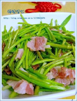 �����«�������