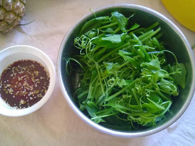 ������������˵�����