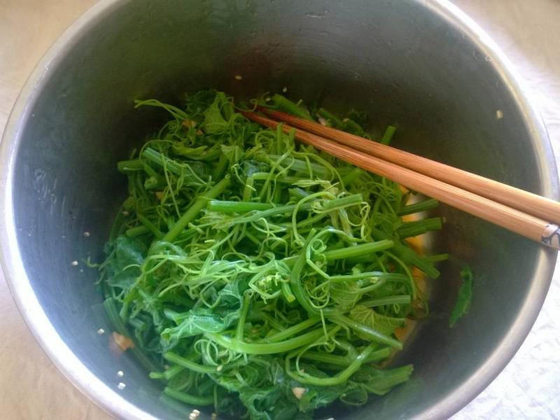 ������������˵�����