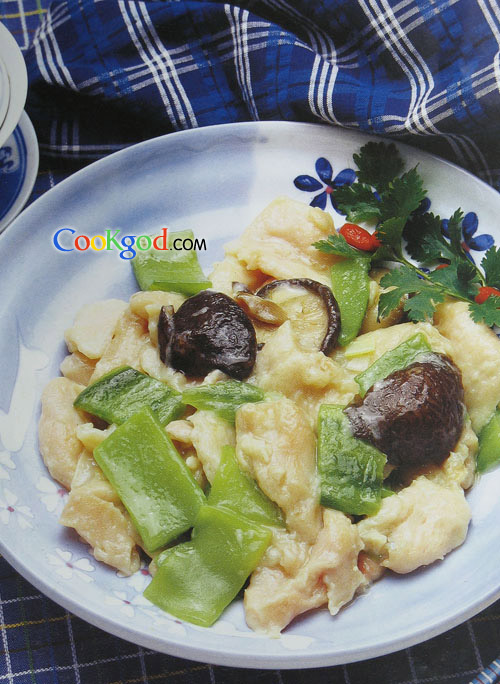 �����Ƽ�Ƭ�㹽������