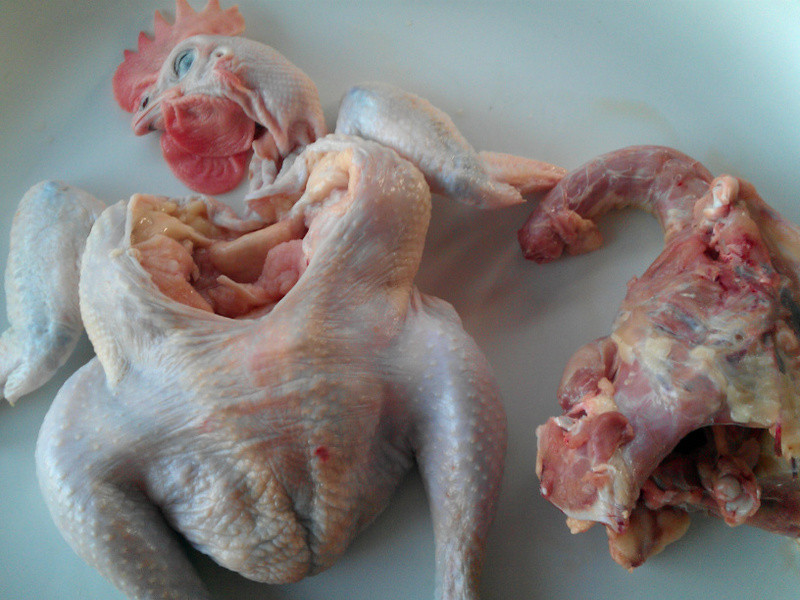 ��˸���Ǭ����������