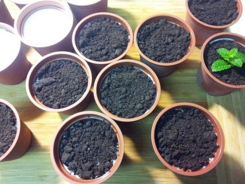 ������ѡ��ó��ϲˇӡ�������