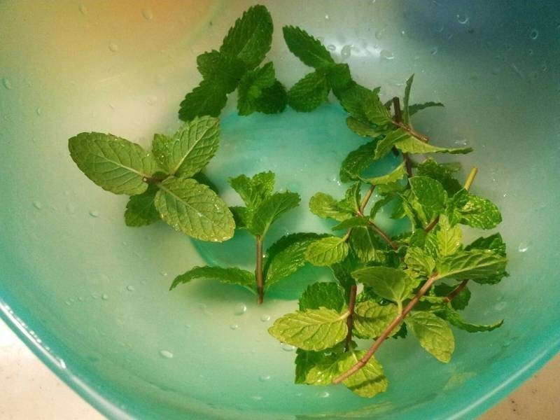 ������ѡ��ó��ϲˇӡ�������