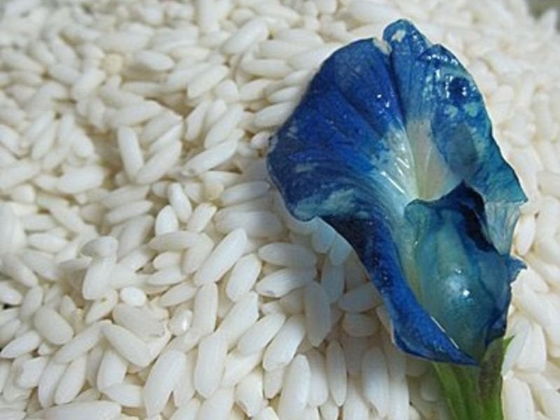 �����.������̩�������� .���Ž�������