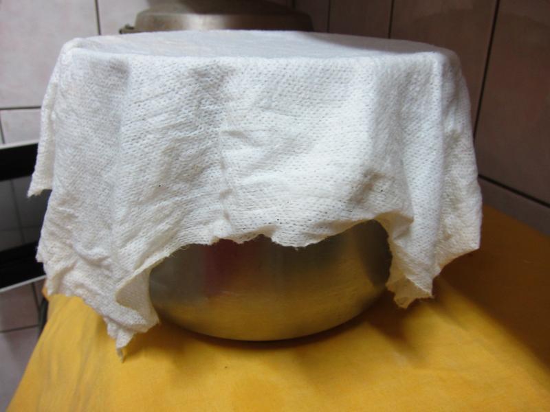 ެ�Ѵ��ͱ�������