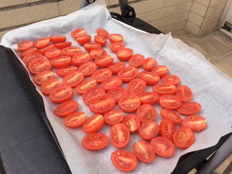 ��ʽ��ѹ�������ެ�Ѹɵ�����