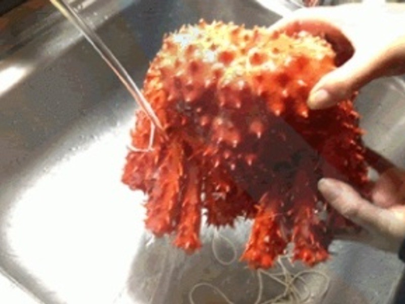 ��������з������