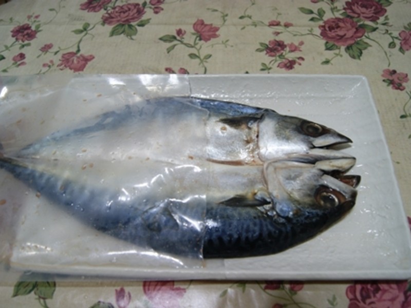 ����һҹ�ɵ�����